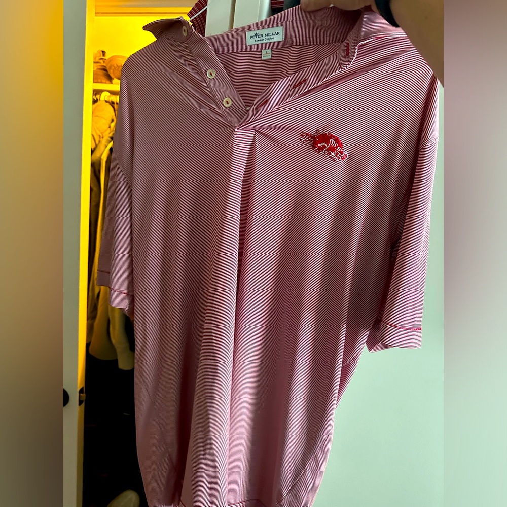 Arkansas Razorback Peter Millar Polo